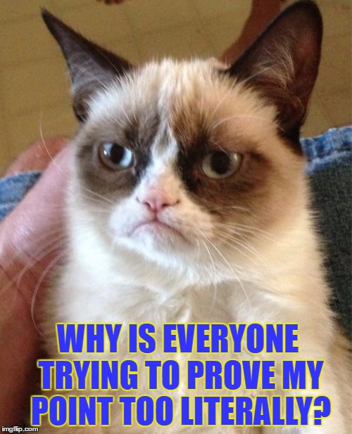 Grumpy Cat Meme | WHY IS EVERYONE TRYING TO PROVE MY POINT TOO LITERALLY? | image tagged in memes,grumpy cat | made w/ Imgflip meme maker