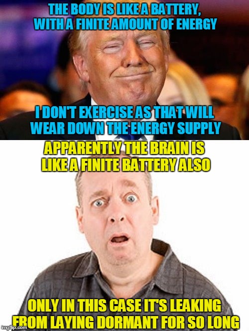 cheeto boy makes the logical leap that proves the point | THE BODY IS LIKE A BATTERY, WITH A FINITE AMOUNT OF ENERGY; I DON'T EXERCISE AS THAT WILL WEAR DOWN THE ENERGY SUPPLY; APPARENTLY THE BRAIN IS LIKE A FINITE BATTERY ALSO; ONLY IN THIS CASE IT'S LEAKING FROM LAYING DORMANT FOR SO LONG | image tagged in memes,politics,trump | made w/ Imgflip meme maker