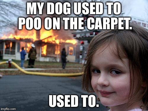 Disaster Girl | MY DOG USED TO POO ON THE CARPET. USED TO. | image tagged in memes,disaster girl | made w/ Imgflip meme maker