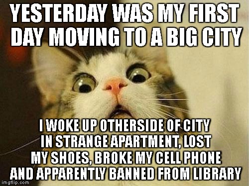 WTH did I do last night | YESTERDAY WAS MY FIRST DAY MOVING TO A BIG CITY; I WOKE UP OTHERSIDE OF CITY IN STRANGE APARTMENT, LOST MY SHOES, BROKE MY CELL PHONE AND APPARENTLY BANNED FROM LIBRARY | image tagged in wtf cat | made w/ Imgflip meme maker