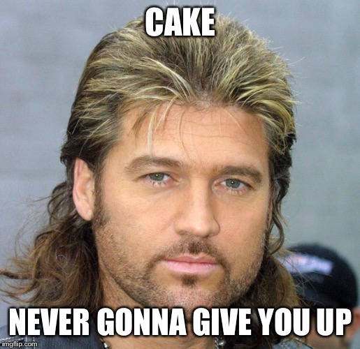 CAKE NEVER GONNA GIVE YOU UP | made w/ Imgflip meme maker