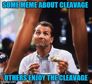 Lets Rock! | SOME MEME ABOUT CLEAVAGE; OTHERS ENJOY THE CLEAVAGE | image tagged in al bundy | made w/ Imgflip meme maker