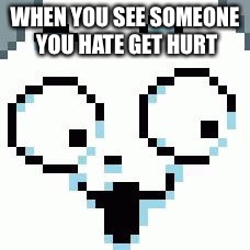 Temmie | WHEN YOU SEE SOMEONE YOU HATE GET HURT | image tagged in temmie | made w/ Imgflip meme maker