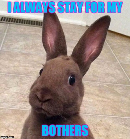 Really? Rabbit | I ALWAYS STAY FOR MY; BOTHERS | image tagged in really rabbit | made w/ Imgflip meme maker