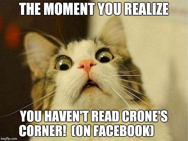 Scared Cat Meme | THE MOMENT YOU REALIZE; YOU HAVEN'T READ CRONE'S CORNER!  (ON FACEBOOK) | image tagged in memes,scared cat | made w/ Imgflip meme maker