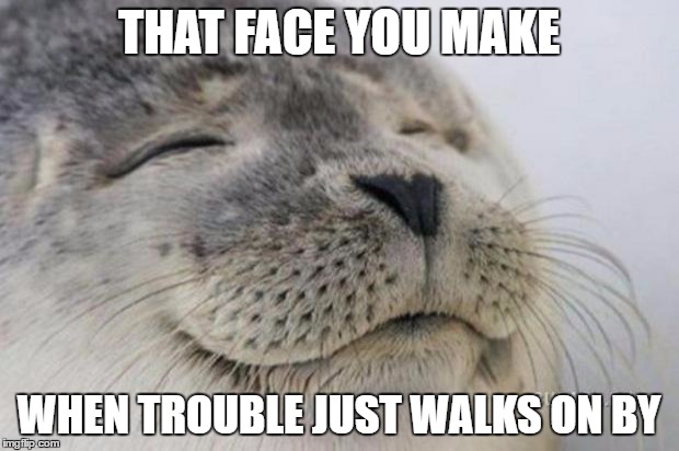 The best kind of relief. | THAT FACE YOU MAKE; WHEN TROUBLE JUST WALKS ON BY | image tagged in happy seal,trouble,just walk away,walk this way,relaxed,peaceful | made w/ Imgflip meme maker