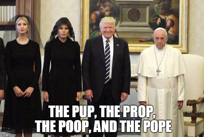 Trump Pope | THE PUP, THE PROP, THE POOP, AND THE POPE | image tagged in trump pope | made w/ Imgflip meme maker