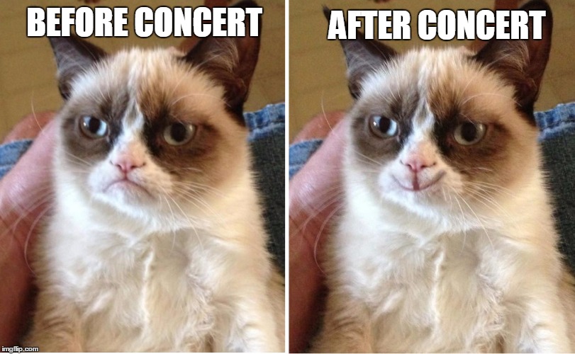Before and after cat | AFTER CONCERT; BEFORE CONCERT | image tagged in before and after cat | made w/ Imgflip meme maker