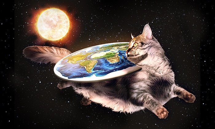 Flat Earth Cat Blank Meme Template