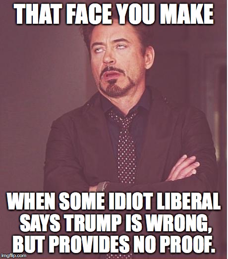 Face You Make Robert Downey Jr Meme | THAT FACE YOU MAKE WHEN SOME IDIOT LIBERAL SAYS TRUMP IS WRONG, BUT PROVIDES NO PROOF. | image tagged in memes,face you make robert downey jr | made w/ Imgflip meme maker
