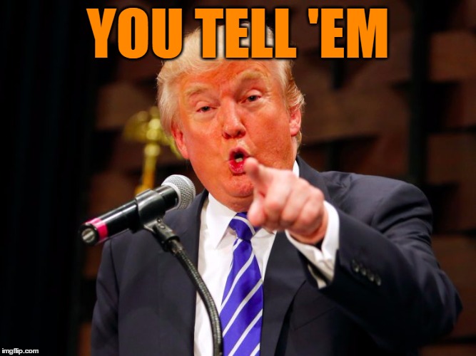 trump point | YOU TELL 'EM | image tagged in trump point | made w/ Imgflip meme maker