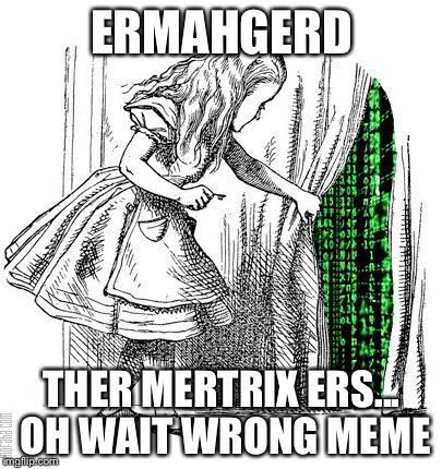 WHAT?! A SEVEN YEAR OLD FOUND THE MATRIX?! OH, YOU FOOLS, SHE'S GETTING AWAY!!! | ERMAHGERD; THER MERTRIX ERS... OH WAIT WRONG MEME | image tagged in alice discovers the matrix | made w/ Imgflip meme maker