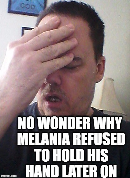 face palm | NO WONDER WHY MELANIA REFUSED TO HOLD HIS HAND LATER ON | image tagged in face palm | made w/ Imgflip meme maker