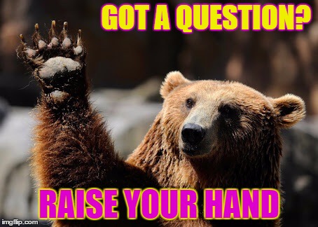 Bear Hands Up | GOT A QUESTION? RAISE YOUR HAND | image tagged in bear hands up | made w/ Imgflip meme maker