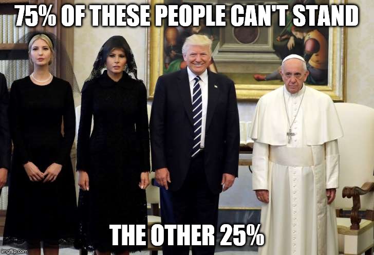 That's the one with the shit-eating grin who is clueless! | 75% OF THESE PEOPLE CAN'T STAND; THE OTHER 25% | image tagged in donald trump | made w/ Imgflip meme maker