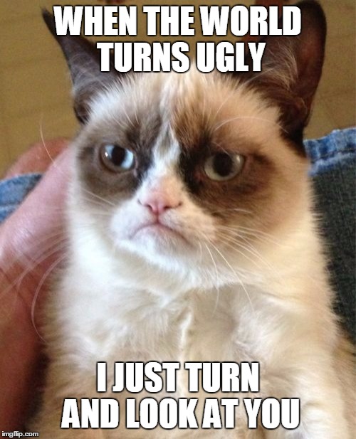 This is How We Roll | WHEN THE WORLD TURNS UGLY; I JUST TURN AND LOOK AT YOU | image tagged in memes,grumpy cat | made w/ Imgflip meme maker