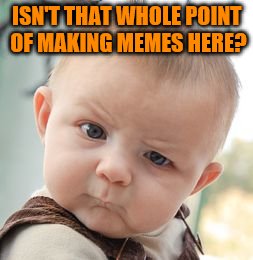 Skeptical Baby Meme | ISN'T THAT WHOLE POINT OF MAKING MEMES HERE? | image tagged in memes,skeptical baby | made w/ Imgflip meme maker