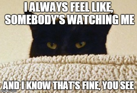 I ALWAYS FEEL LIKE, SOMEBODY'S WATCHING ME AND I KNOW THAT'S FINE, YOU SEE | made w/ Imgflip meme maker