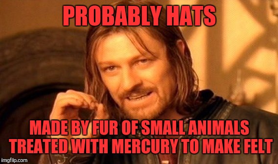 One Does Not Simply Meme | PROBABLY HATS MADE BY FUR OF SMALL ANIMALS TREATED WITH MERCURY TO MAKE FELT | image tagged in memes,one does not simply | made w/ Imgflip meme maker