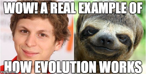 Evolution  | WOW! A REAL EXAMPLE OF; HOW EVOLUTION WORKS | image tagged in funny,memes | made w/ Imgflip meme maker