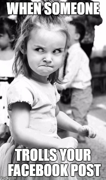 Angry Toddler Meme | WHEN SOMEONE; TROLLS YOUR FACEBOOK POST | image tagged in memes,angry toddler | made w/ Imgflip meme maker