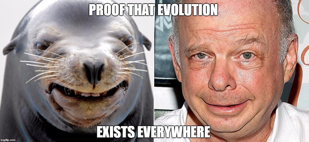 PROOF THAT EVOLUTION; EXISTS EVERYWHERE | made w/ Imgflip meme maker