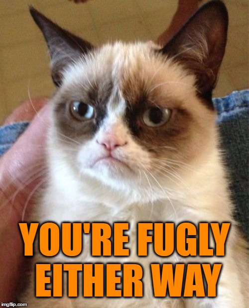 Grumpy Cat Meme | YOU'RE FUGLY EITHER WAY | image tagged in memes,grumpy cat | made w/ Imgflip meme maker