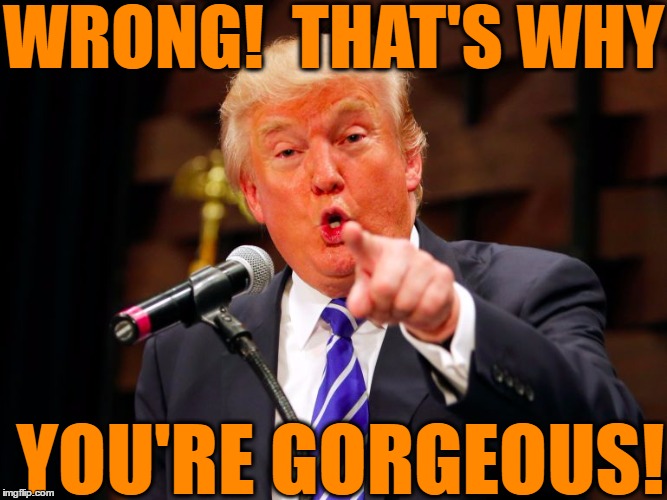 trump point | WRONG!  THAT'S WHY YOU'RE GORGEOUS! | image tagged in trump point | made w/ Imgflip meme maker