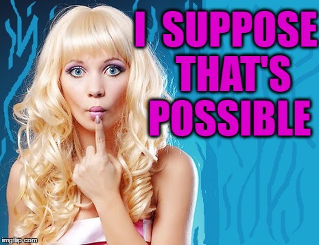 ditzy blonde | I  SUPPOSE  THAT'S POSSIBLE | image tagged in ditzy blonde | made w/ Imgflip meme maker