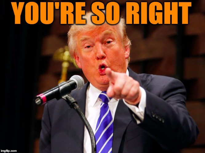 trump point | YOU'RE SO RIGHT | image tagged in trump point | made w/ Imgflip meme maker
