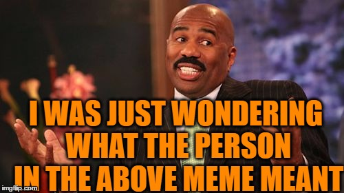 I WAS JUST WONDERING WHAT THE PERSON IN THE ABOVE MEME MEANT | image tagged in memes,steve harvey | made w/ Imgflip meme maker
