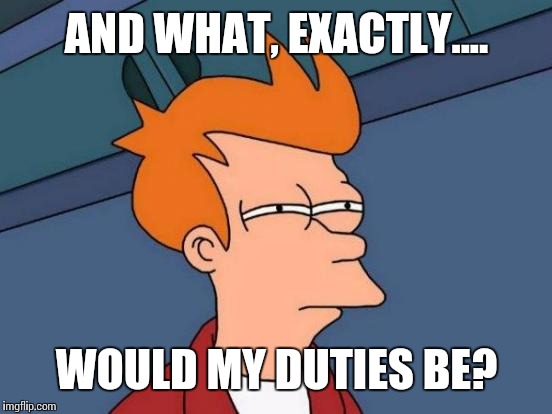 Futurama Fry Meme | AND WHAT, EXACTLY.... WOULD MY DUTIES BE? | image tagged in memes,futurama fry | made w/ Imgflip meme maker