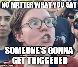 NO MATTER WHAT YOU SAY SOMEONE'S GONNA GET TRIGGERED | made w/ Imgflip meme maker