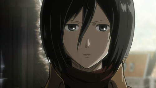 High Quality mikasa-ackerman Blank Meme Template