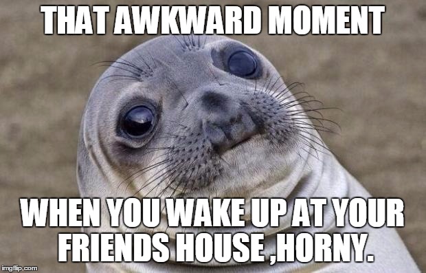 Awkward Moment Sealion Meme |  THAT AWKWARD MOMENT; WHEN YOU WAKE UP AT YOUR FRIENDS HOUSE ,HORNY. | image tagged in memes,awkward moment sealion | made w/ Imgflip meme maker
