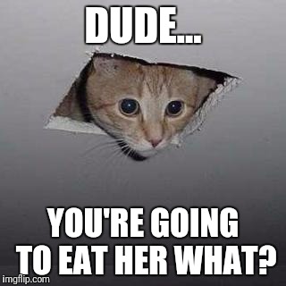 Ceiling Cat Meme | DUDE... YOU'RE GOING TO EAT HER WHAT? | image tagged in memes,ceiling cat | made w/ Imgflip meme maker