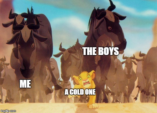 Lion King Stampede | THE BOYS; ME; A COLD ONE | image tagged in lion king stampede | made w/ Imgflip meme maker