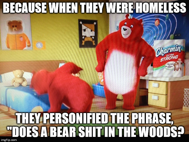 BECAUSE WHEN THEY WERE HOMELESS THEY PERSONIFIED THE PHRASE, "DOES A BEAR SHIT IN THE WOODS? | made w/ Imgflip meme maker