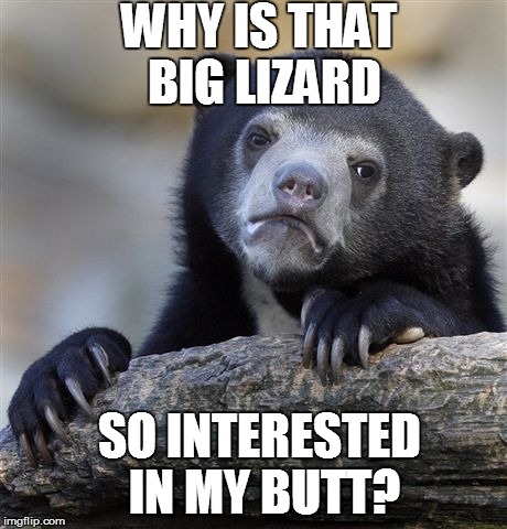 Confession Bear Meme | WHY IS THAT BIG LIZARD SO INTERESTED IN MY BUTT? | image tagged in memes,confession bear | made w/ Imgflip meme maker
