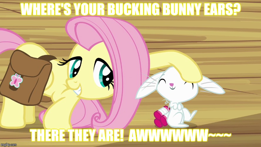 WHERE'S YOUR BUCKING BUNNY EARS? THERE THEY ARE!  AWWWWWW~~~ | made w/ Imgflip meme maker