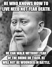 Master Po | HE WHO KNOWS HOW TO LIVE NEED NOT FEAR DEATH. HE CAN WALK WITHOUT FEAR OF THE RHINO OR TIGER. HE WILL NOT BE WOUNDED IN BATTLE. | image tagged in kung fu master,memes | made w/ Imgflip meme maker