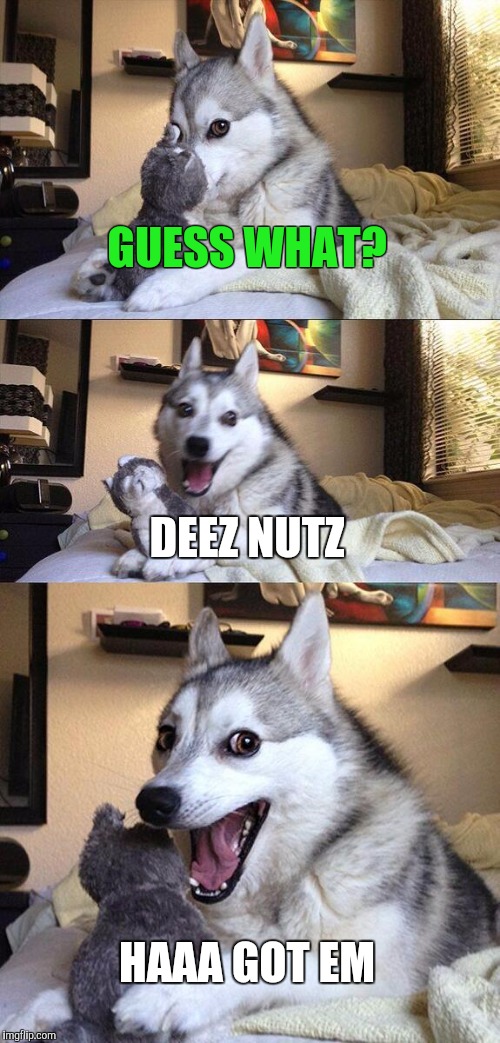 Bad Pun Dog Meme | GUESS WHAT? DEEZ NUTZ; HAAA GOT EM | image tagged in memes,bad pun dog | made w/ Imgflip meme maker