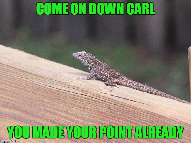 COME ON DOWN CARL YOU MADE YOUR POINT ALREADY | made w/ Imgflip meme maker