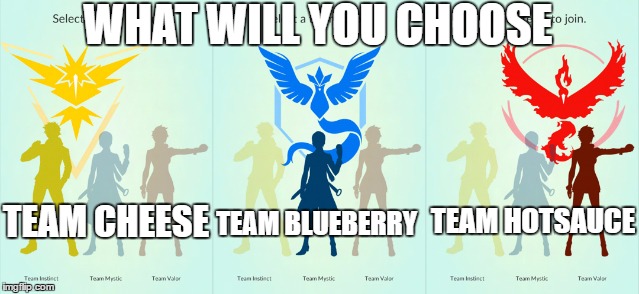 Pokemon Teams | WHAT WILL YOU CHOOSE; TEAM HOTSAUCE; TEAM BLUEBERRY; TEAM CHEESE | image tagged in pokemon teams | made w/ Imgflip meme maker