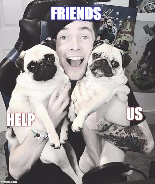 DanTDM and the pugs | FRIENDS; HELP; US | image tagged in dantdm and the pugs | made w/ Imgflip meme maker