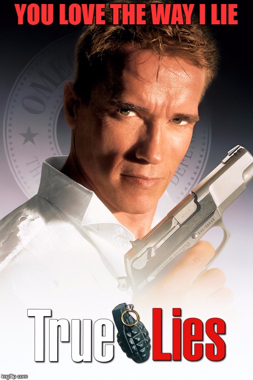 YOU LOVE THE WAY I LIE | image tagged in true lies | made w/ Imgflip meme maker