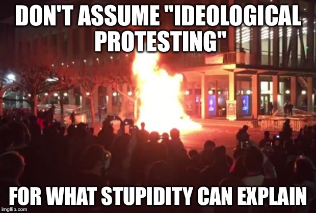 Berkeley Riots | DON'T ASSUME "IDEOLOGICAL PROTESTING"; FOR WHAT STUPIDITY CAN EXPLAIN | image tagged in berkeley riots | made w/ Imgflip meme maker