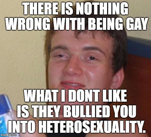 10 Guy Meme | THERE IS NOTHING WRONG WITH BEING GAY WHAT I DONT LIKE IS THEY BULLIED YOU INTO HETEROSEXUALITY. | image tagged in memes,10 guy | made w/ Imgflip meme maker