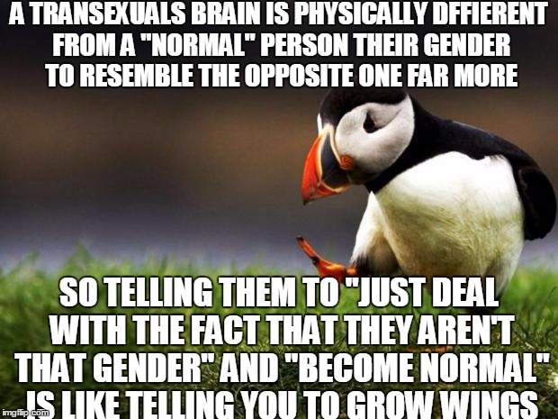 Try It, Trust Me It Works... NOT!!! | A TRANSEXUALS BRAIN IS PHYSICALLY DFFIERENT FROM A "NORMAL" PERSON THEIR GENDER TO RESEMBLE THE OPPOSITE ONE FAR MORE; SO TELLING THEM TO "JUST DEAL WITH THE FACT THAT THEY AREN'T THAT GENDER" AND "BECOME NORMAL" IS LIKE TELLING YOU TO GROW WINGS | image tagged in memes,unpopular opinion puffin,lgbtq,reality check,science,meme | made w/ Imgflip meme maker