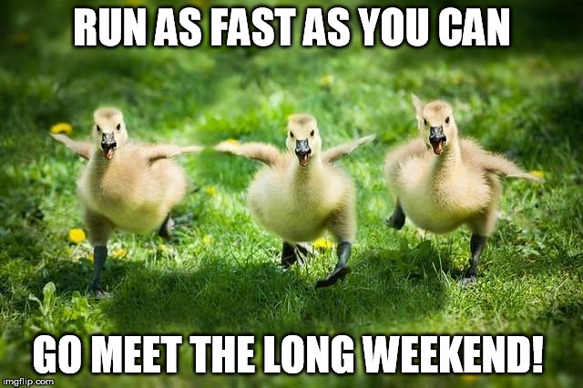 weekend | RUN AS FAST AS YOU CAN; GO MEET THE LONG WEEKEND! | image tagged in happy chicks | made w/ Imgflip meme maker